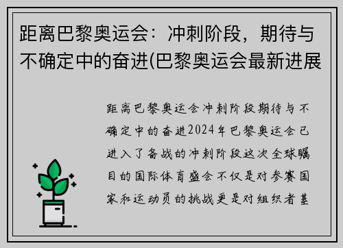 距离巴黎奥运会：冲刺阶段，期待与不确定中的奋进(巴黎奥运会最新进展)
