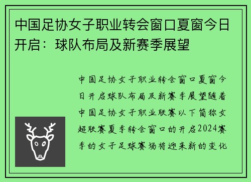 中国足协女子职业转会窗口夏窗今日开启：球队布局及新赛季展望