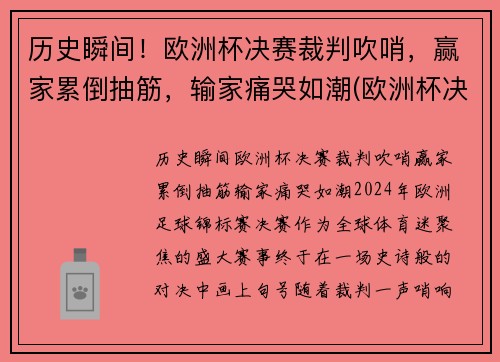 历史瞬间！欧洲杯决赛裁判吹哨，赢家累倒抽筋，输家痛哭如潮(欧洲杯决赛误判)