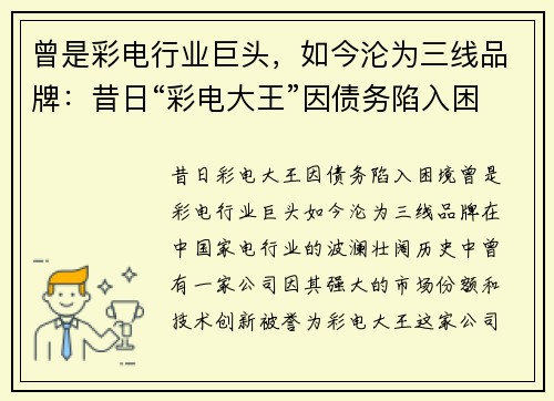 曾是彩电行业巨头，如今沦为三线品牌：昔日“彩电大王”因债务陷入困境